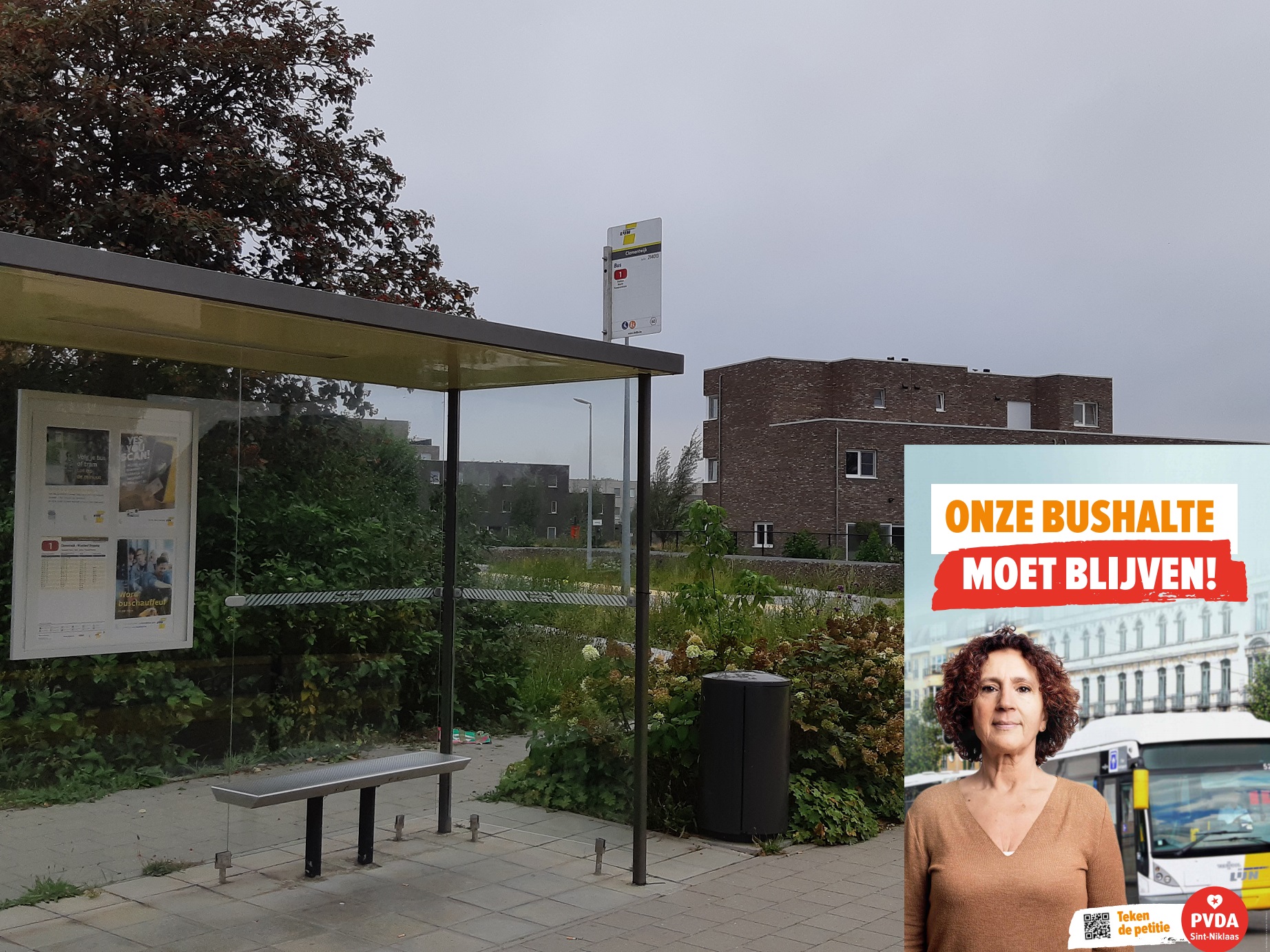 145 bushaltes verdwijnen in het Waasland: een ware kaalslag!
